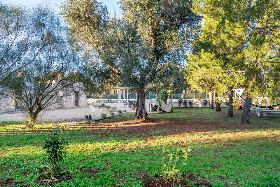 Outside garden