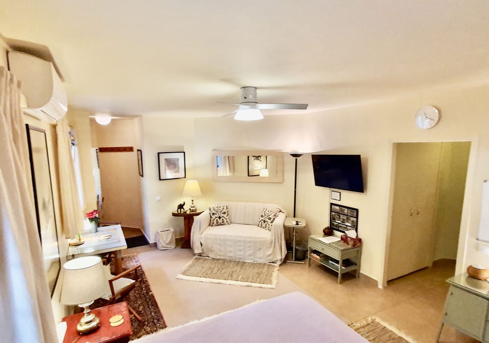 Smart TV, aircon, electric heater, essential oils diffuser.