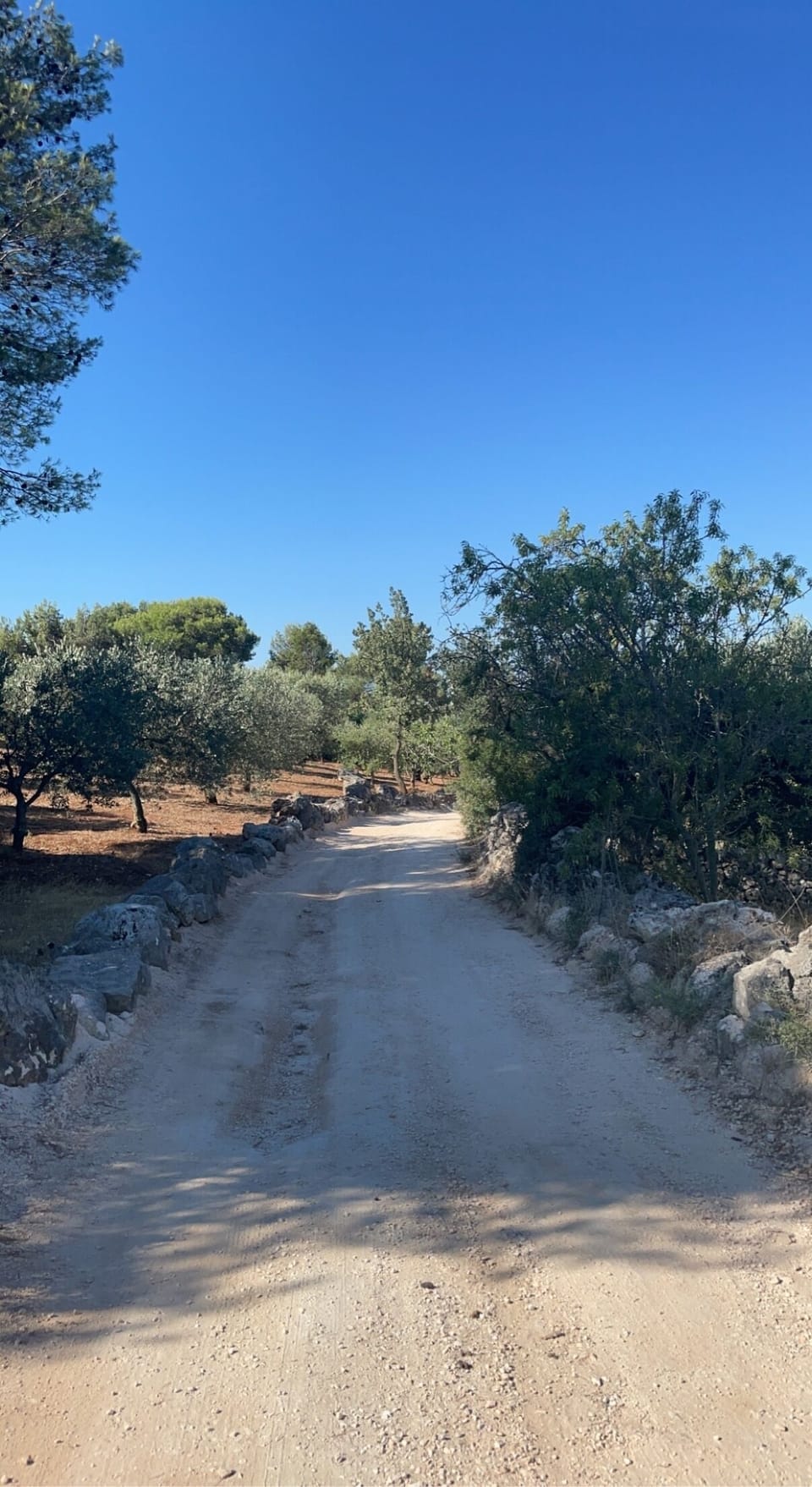 Charming country roads for morning walks