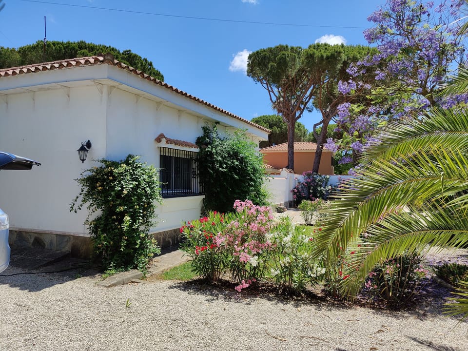 The front garden and driveway for four cars