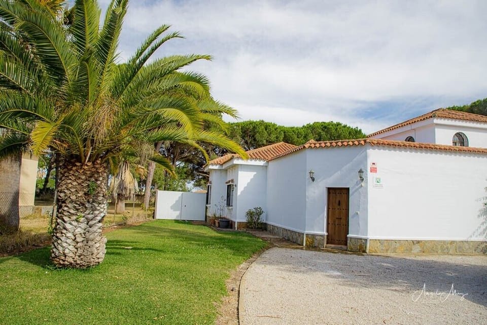 The driveway with door leading to the front patio 