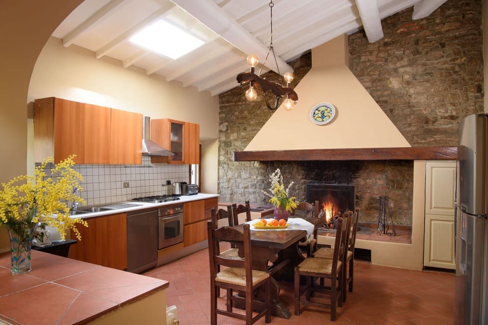 Countertop, Cabinetry, Property, Furniture, Table, Chair, Plant, Wood, Kitchen, Interior Design
