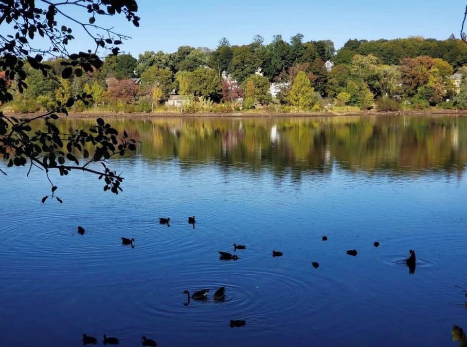 View of the Arlington Reservoir, blocks away from our house. 