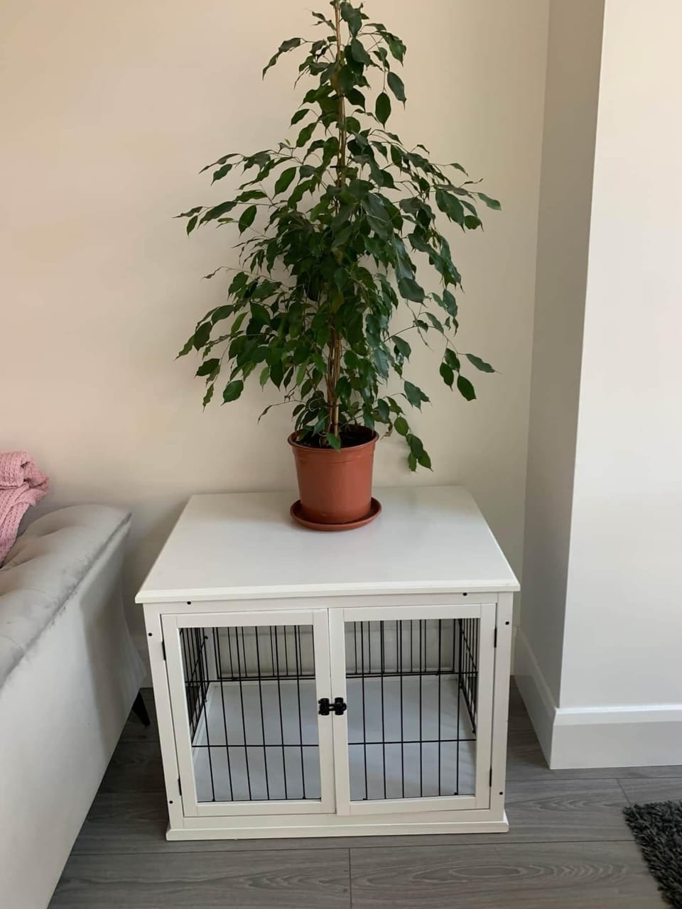 Dog cage/bed area