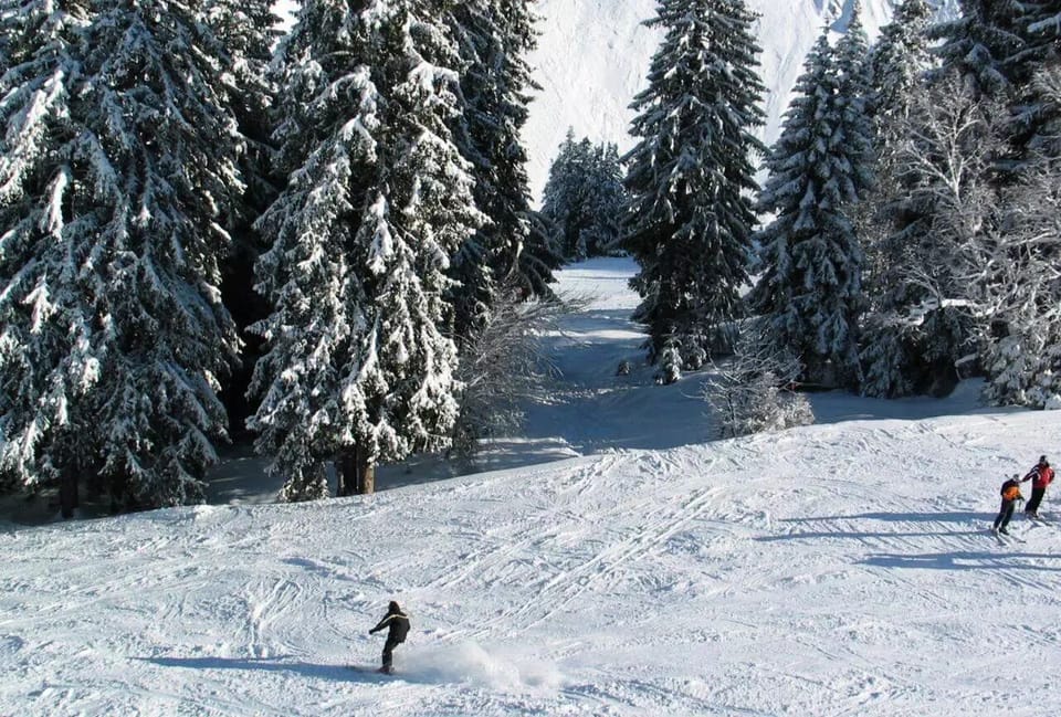 Snow and ski sports