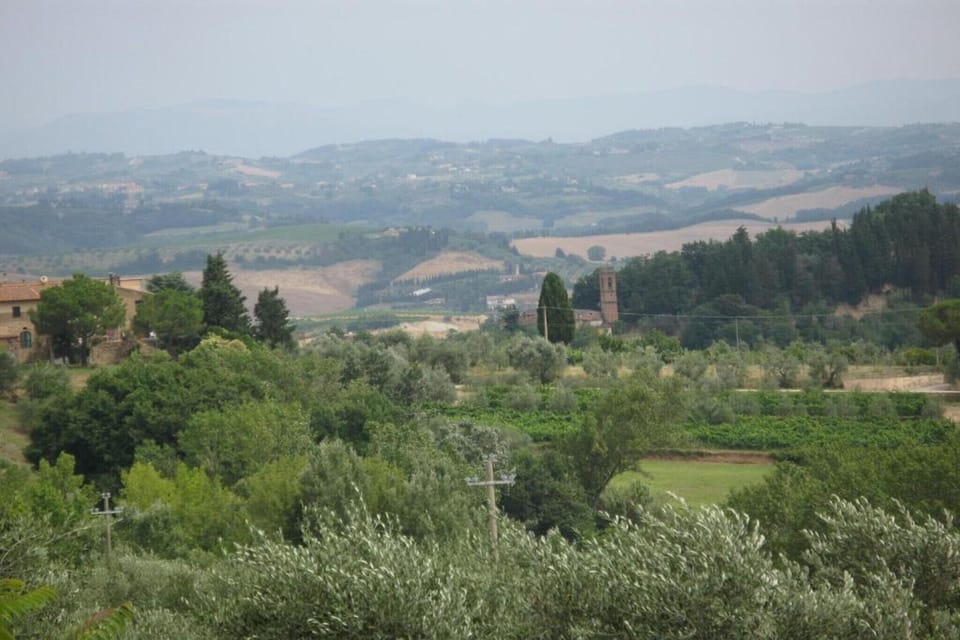 Region [summer] (>5 km)