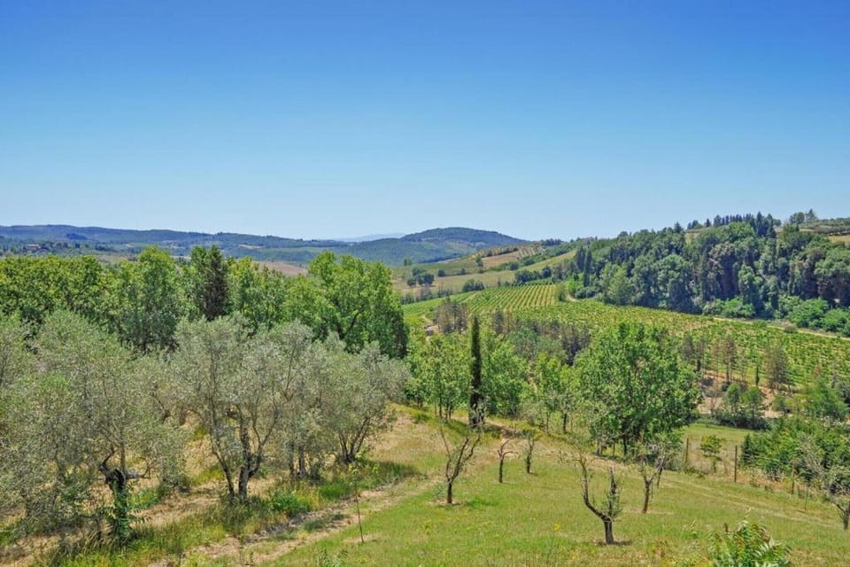 Region [summer] (>5 km)