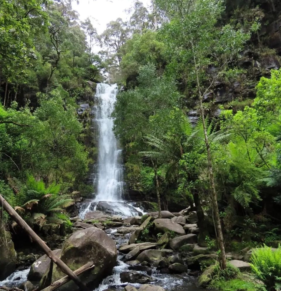 Erskine Falls (Lorne) – Lush rainforest waterfall, about an hour’s drive.