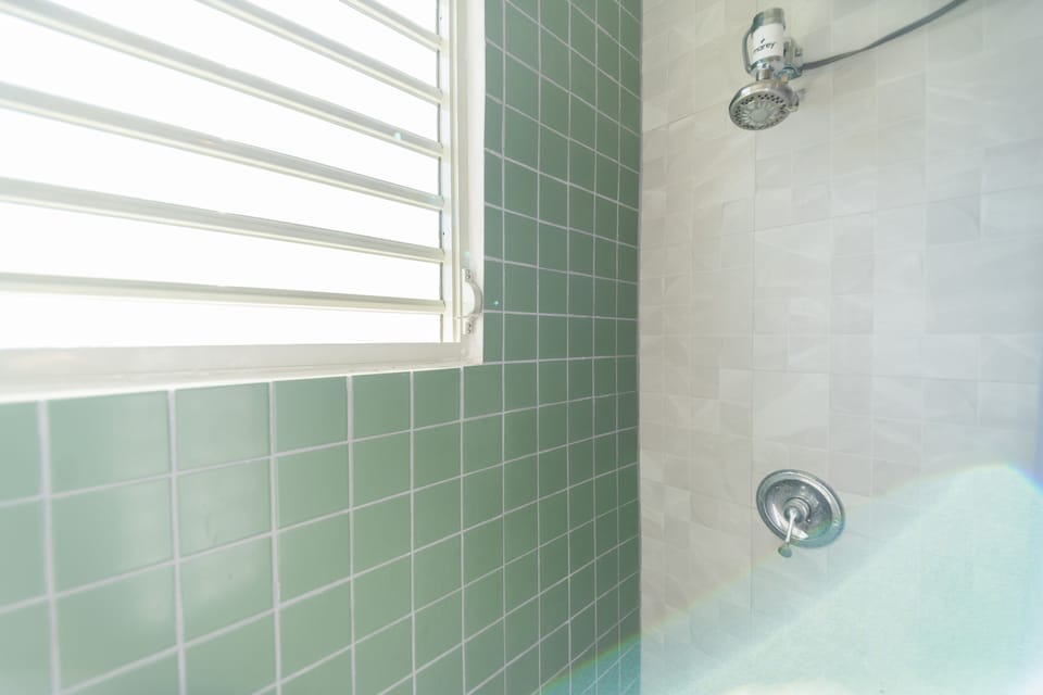 Master Bathroom Shower