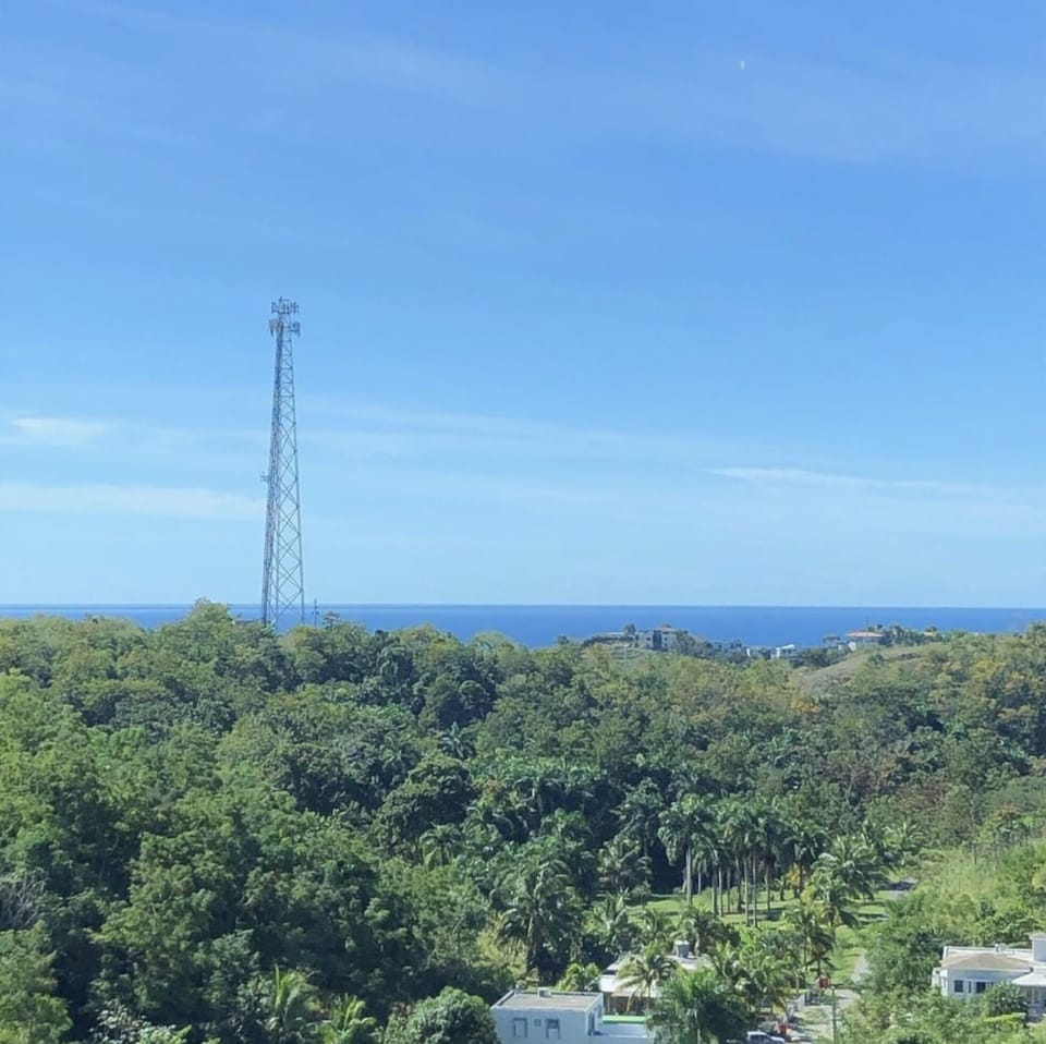 View from home