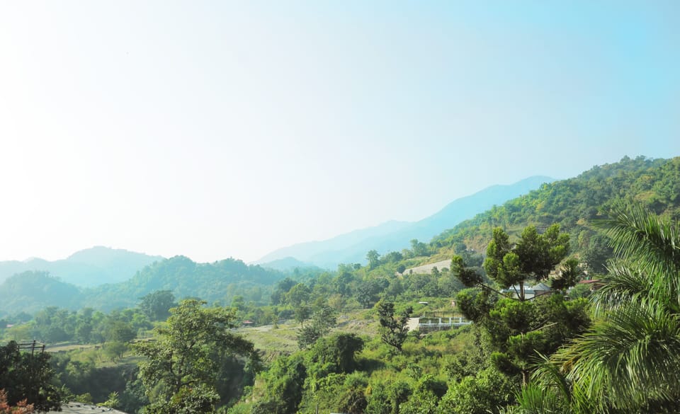 Surrounding view