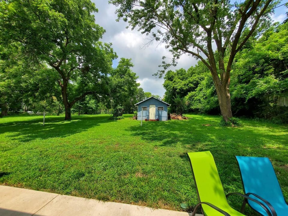 Backyard