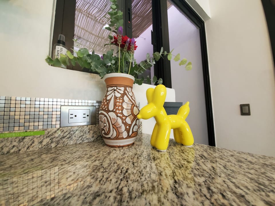 Pet friendly, suitable for small pets 