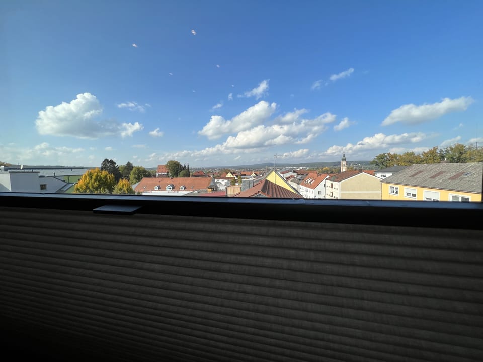 Blick über die Stadt bis in den Bayerischen Wald