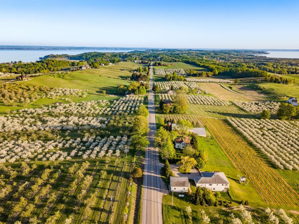 Experience the Beauty of Old Mission Peninsula