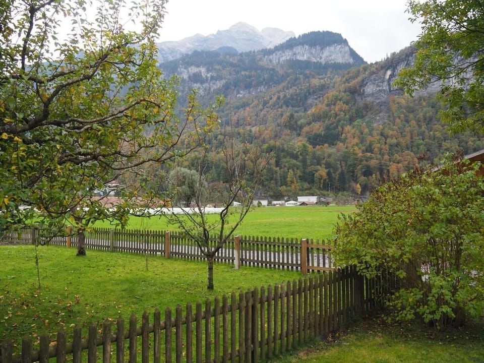 Picture 11