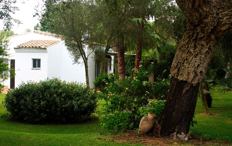 Tepuanahouse. House and it´s surrounding garden..Hidden in the green.