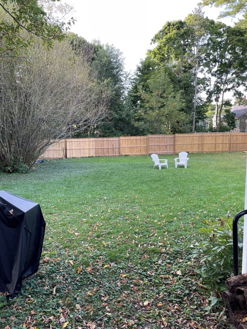 Large private backyard for birdwatching, frisbee, grilling.