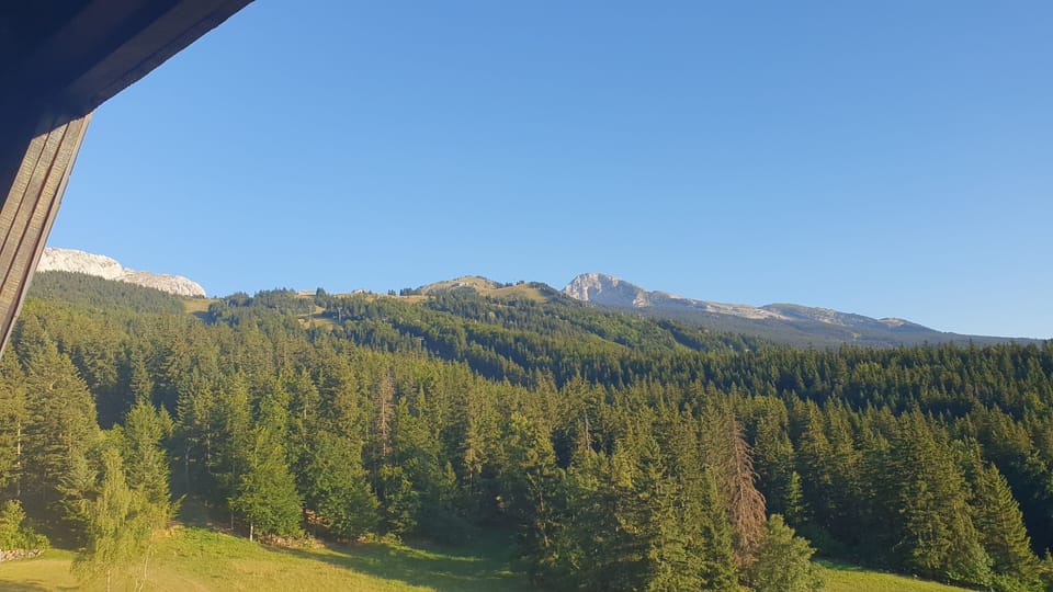 View from property