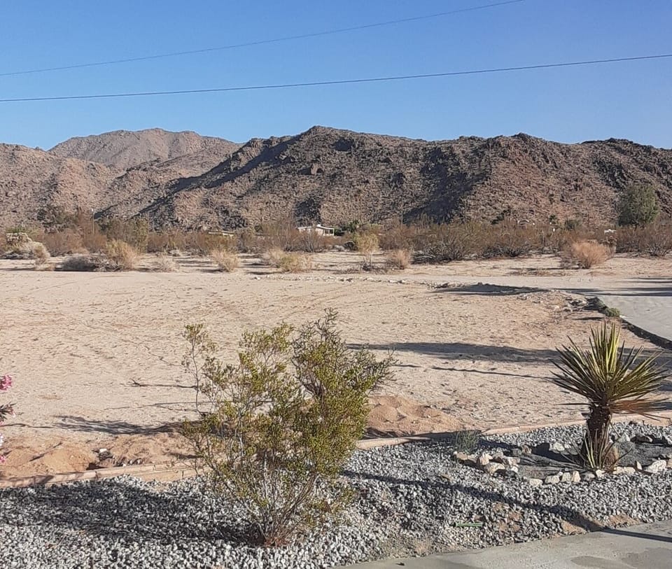 Located between Indian Cove Campground and 49 Palms Oasis trail on 5 acres. 