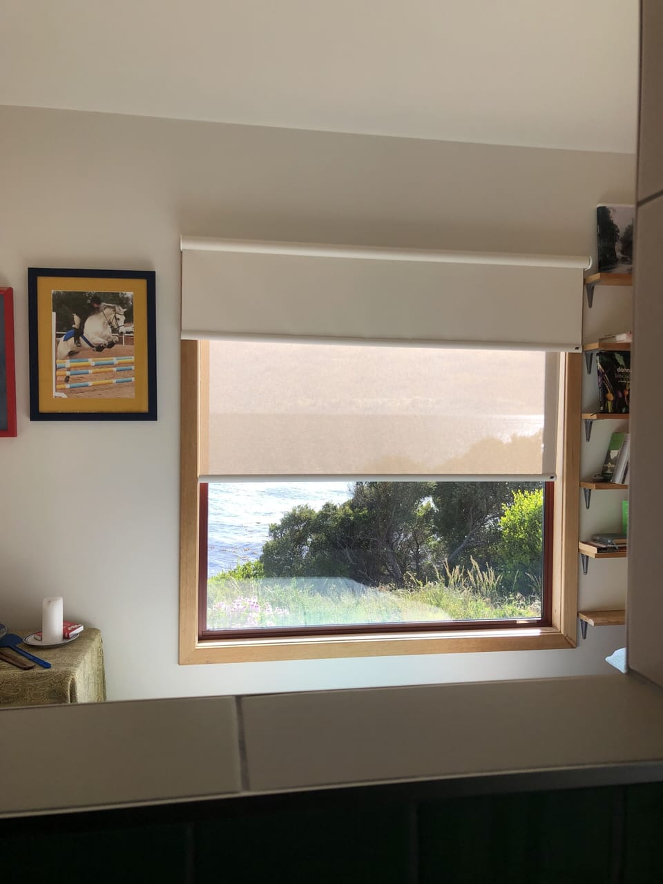 View from the shower