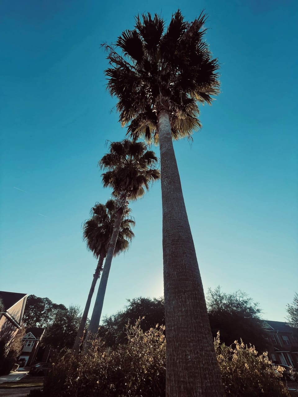 Miscellaneous