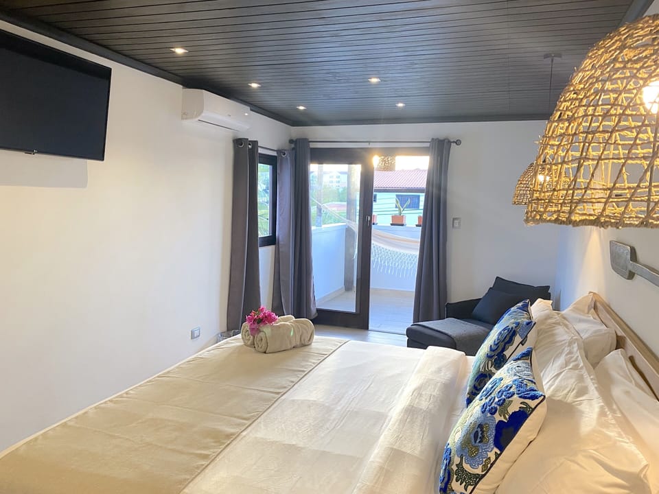terrace access from main bedroom
