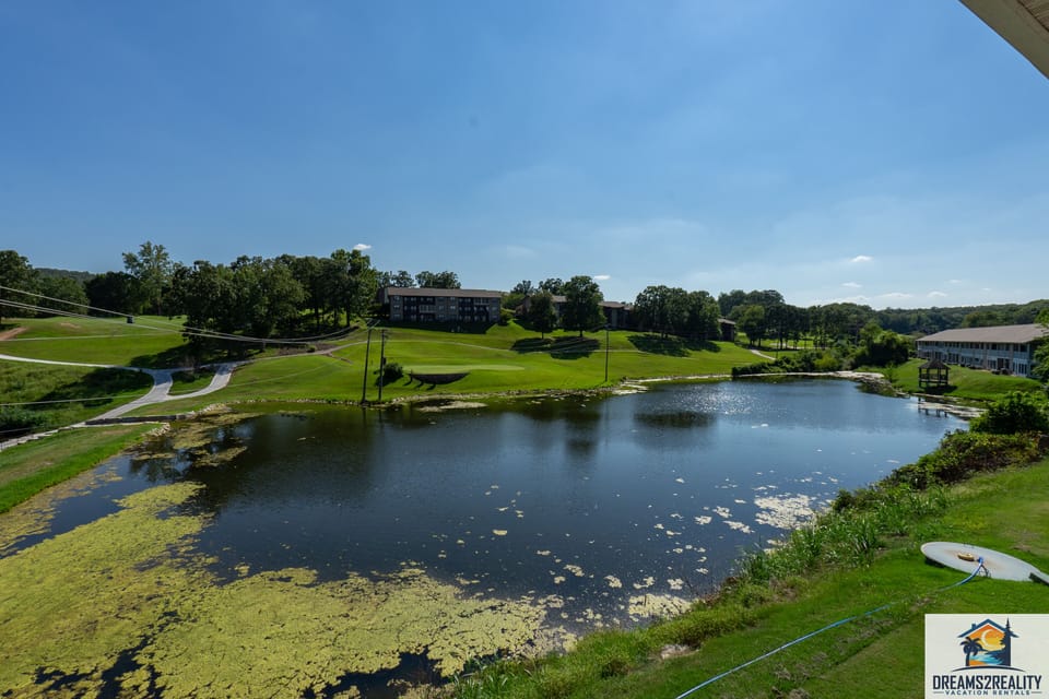 View of Pond