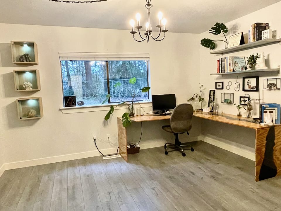 Downstairs office or bedroom