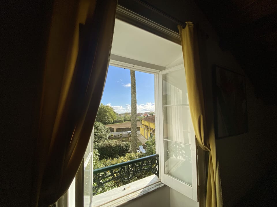 Window
