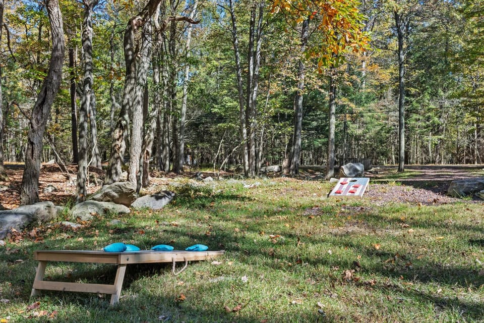 Cornhole