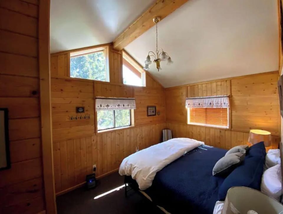 Another view of the bedroom - vaulted ceilings and great light