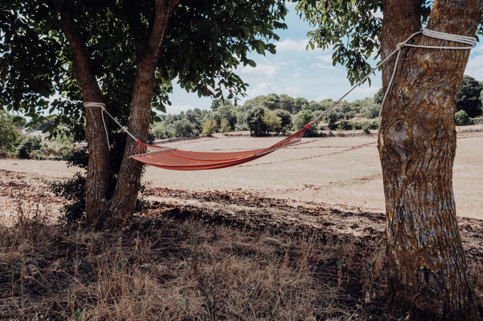 Relax in the hammock and pick the fruit from the trees, take a walk in the field