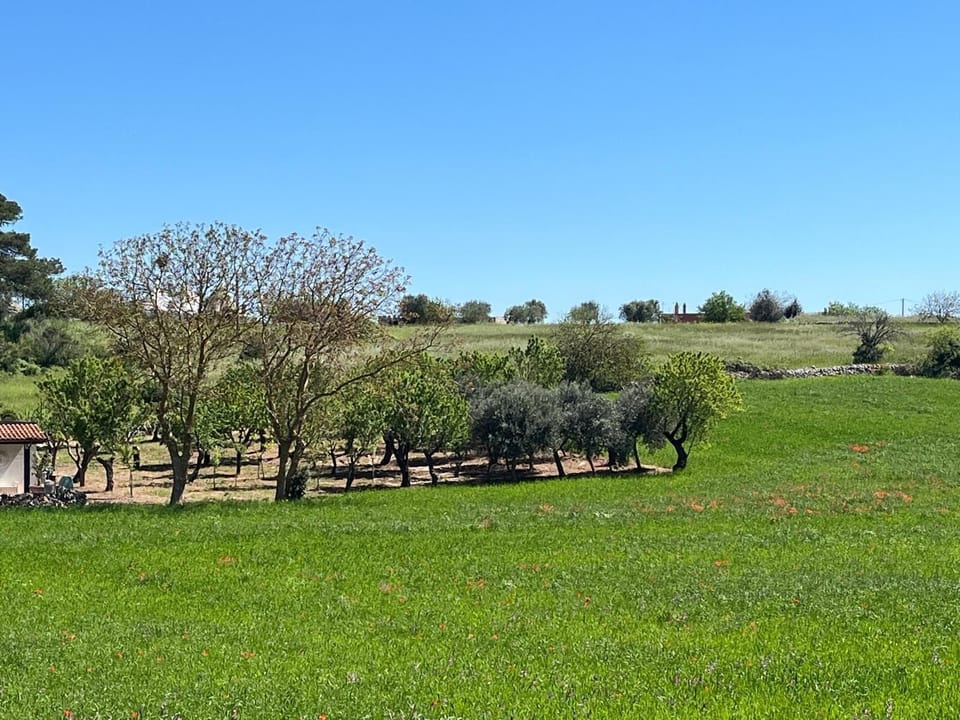 The surrounding countryside