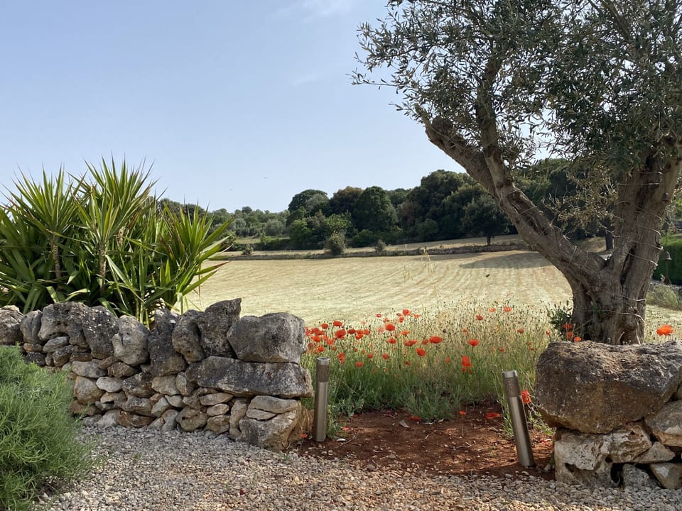 Entrance to the field from the pool area