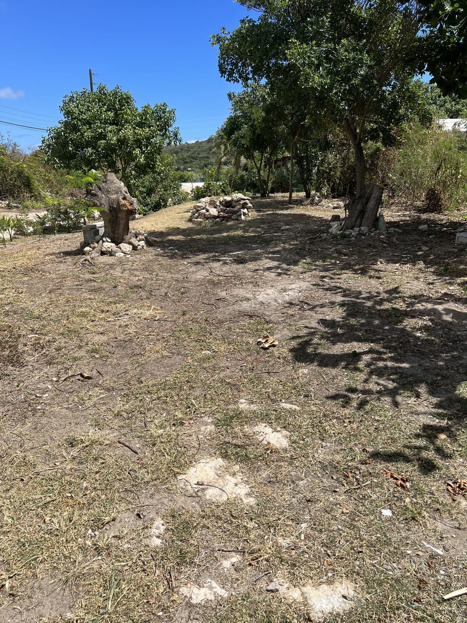 Back yard