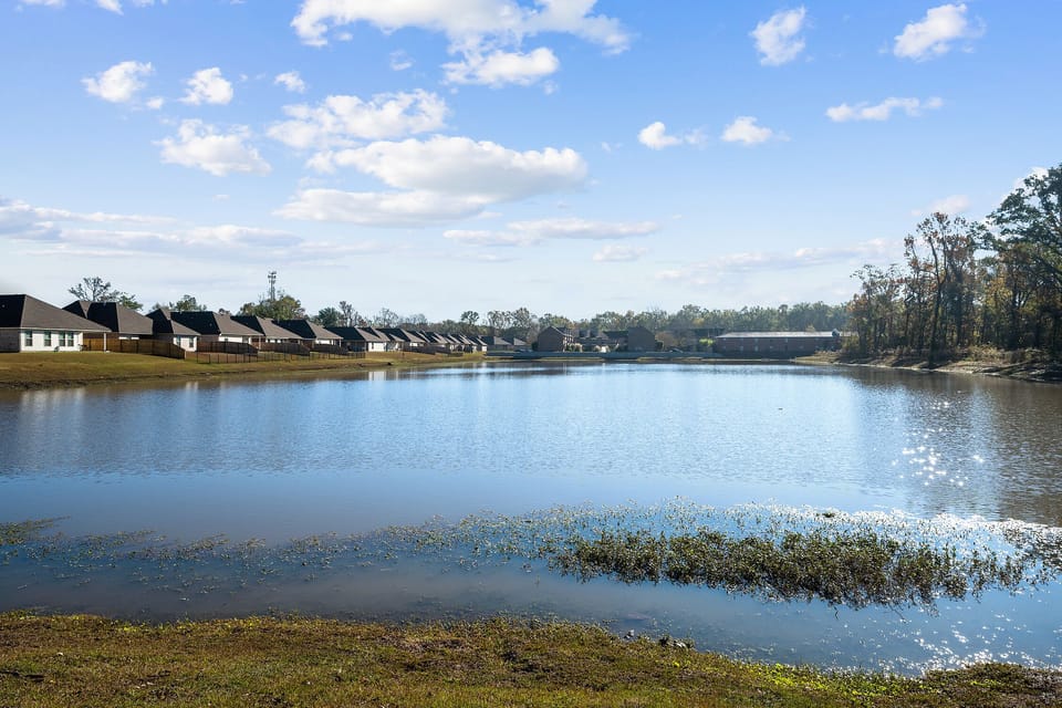 A Lakeview from the back yard 