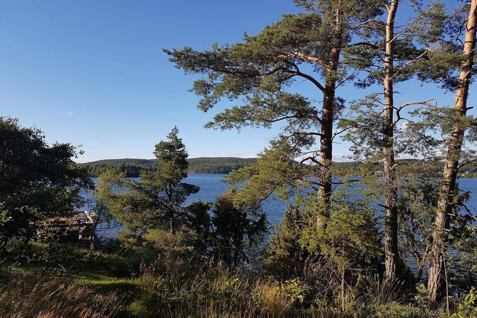 Water view