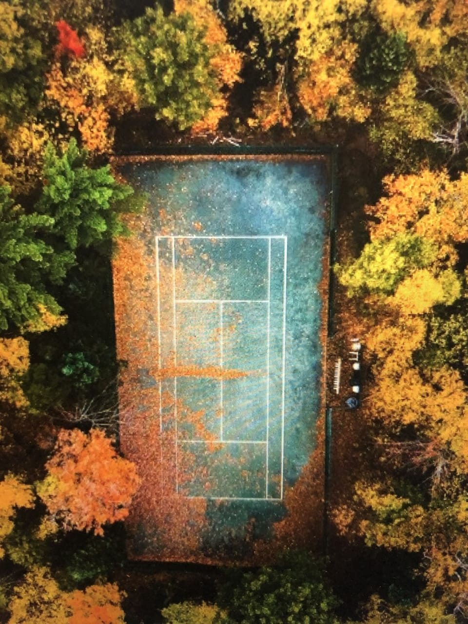 Sport court