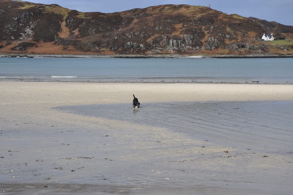 Morar beach great for the dogs and children, plenty of space.