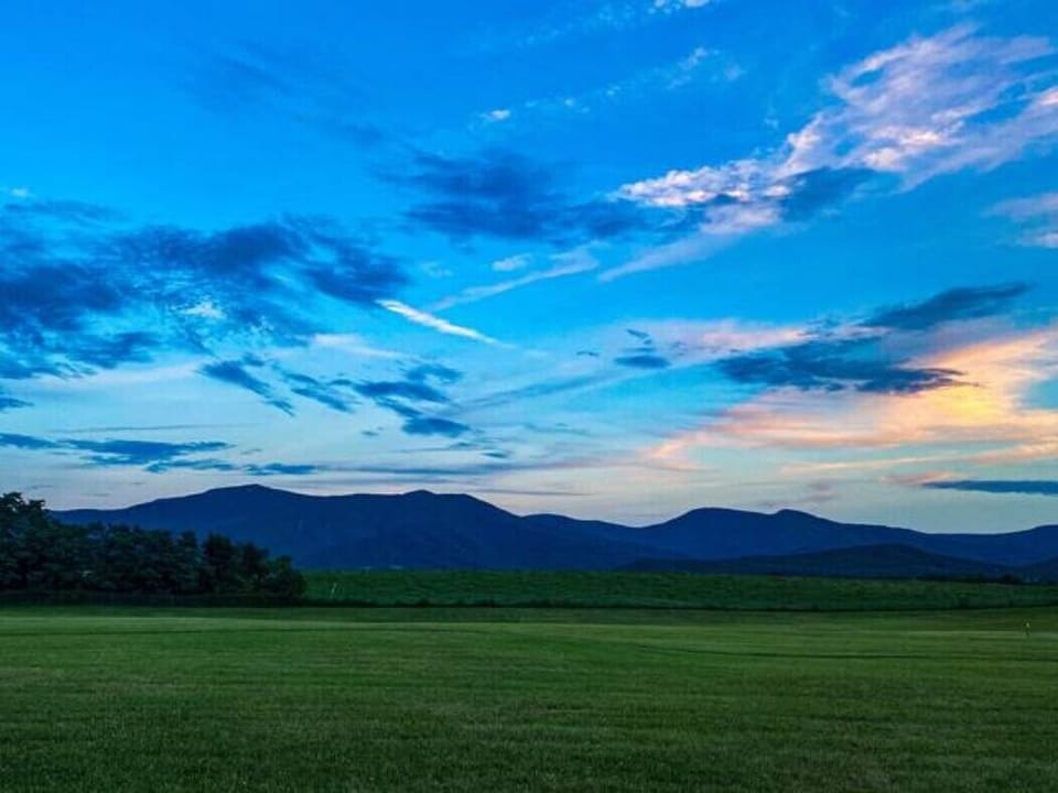 View from a park right down the street