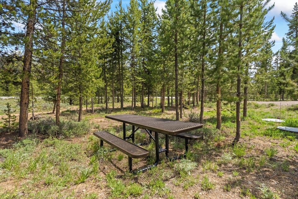 Outdoor picnic area nestled among the pine trees near Valley Creek Cabin.