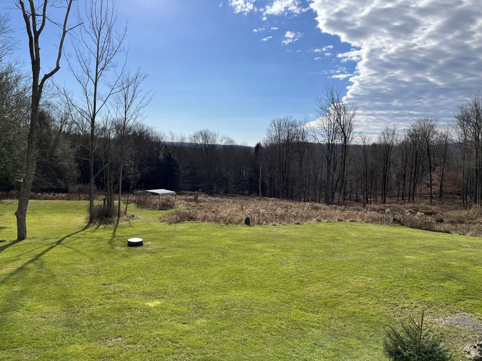 Backyard view