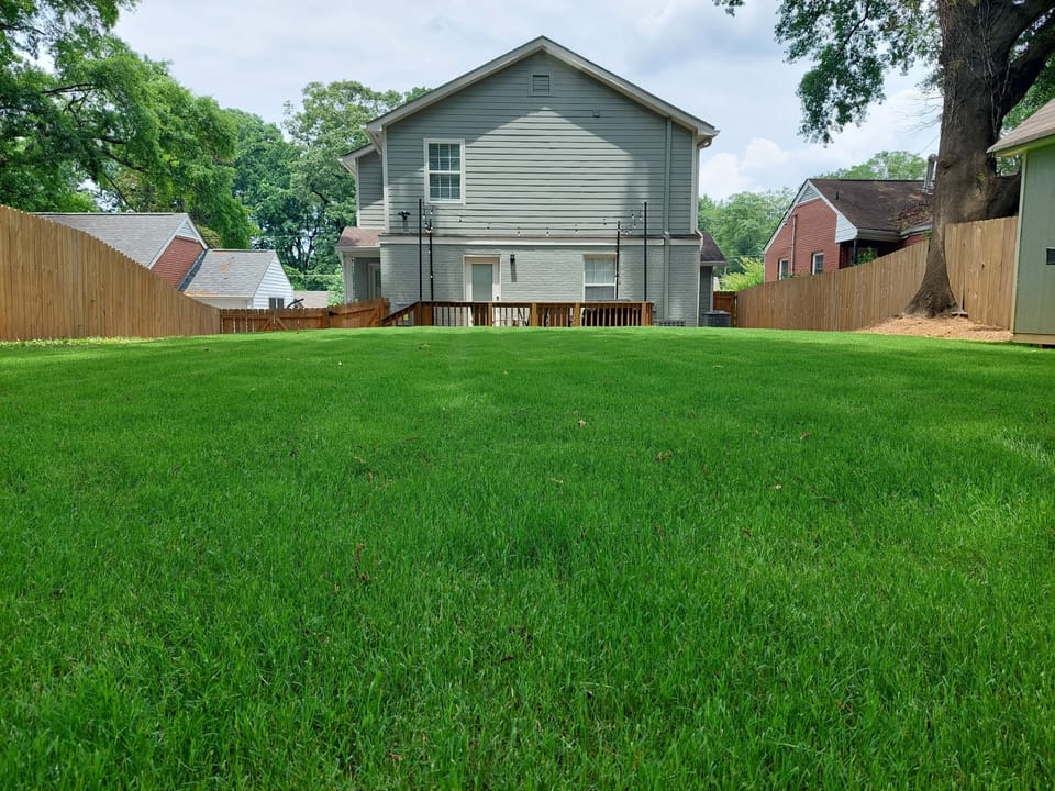 Spacious private backyard
- Beecher House ATL