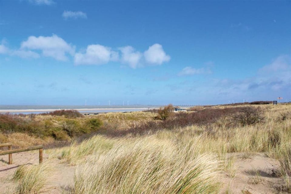 Region [summer] (>5 km)