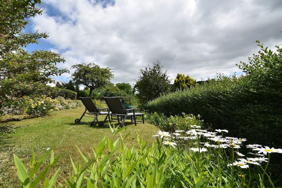 Garden [summer]