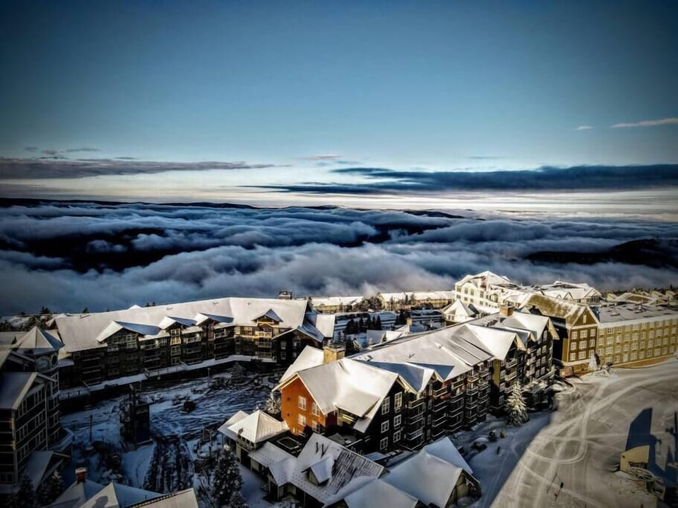 0994e590-32d8-484e-aacb-b849c8dfadc7