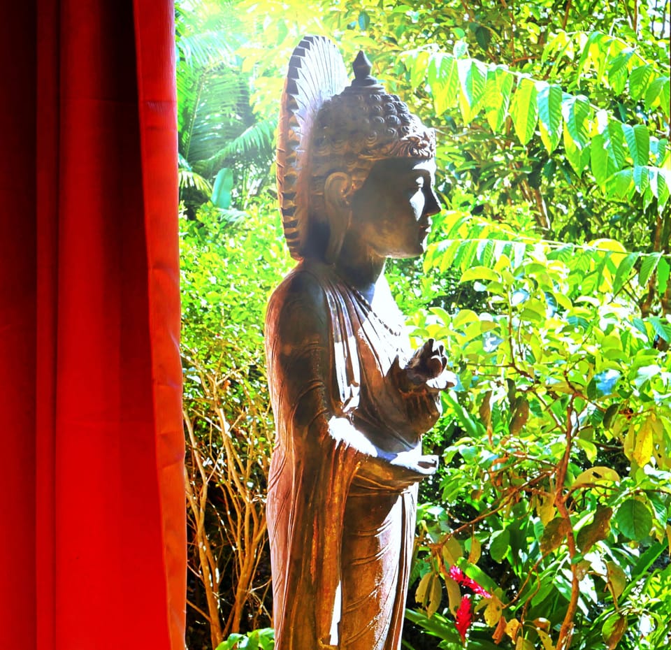 PurUvita Jungle Resort. Your very own private resort for your family or group.