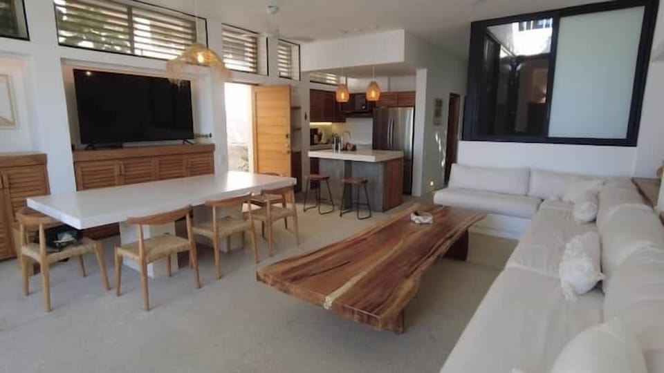 living room has TV and air conditioning