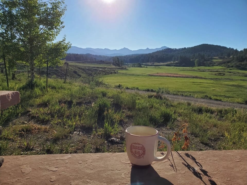 View from property